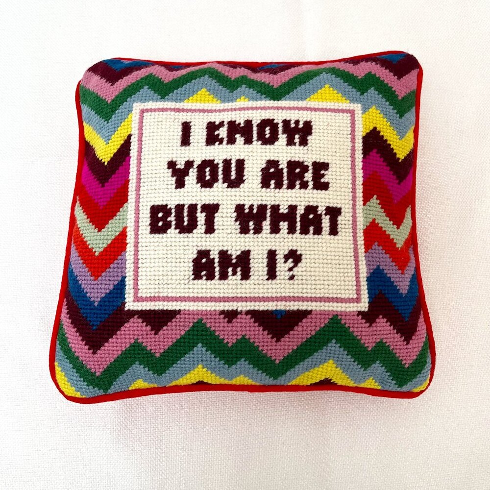 NWOT I KNOW YOU ARE BUT WHAT AM I? Needlepoint Furbish Studio Pillow Nostalgia